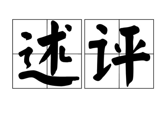 述评