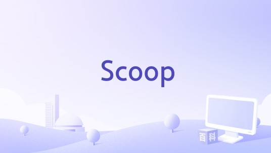 Scoop（约翰·萨维奇主演的电影）