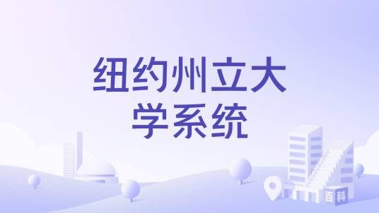 纽约州立大学系统