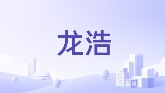 龙浩（大型多元化企业集团）