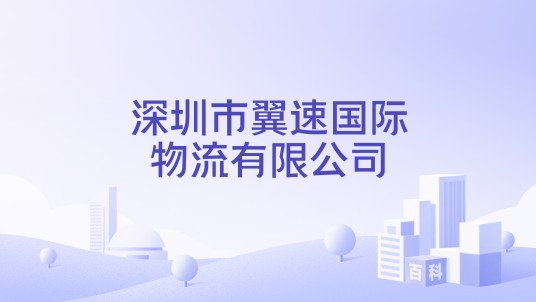 深圳市翼速国际物流有限公司