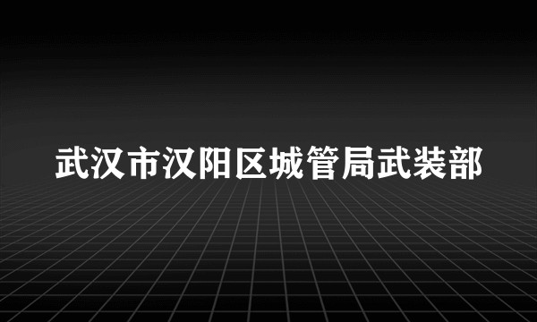 武汉市汉阳区城管局武装部