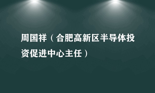 周国祥（合肥高新区半导体投资促进中心主任）