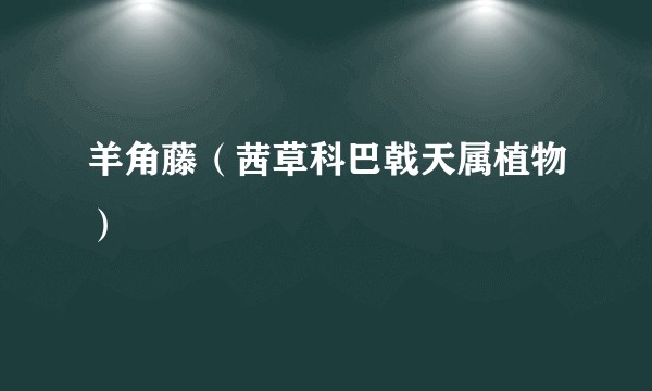 羊角藤（茜草科巴戟天属植物）
