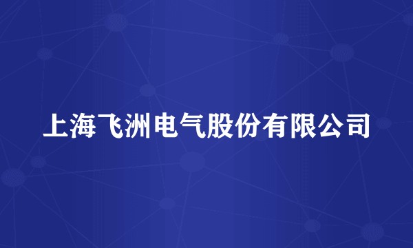 上海飞洲电气股份有限公司
