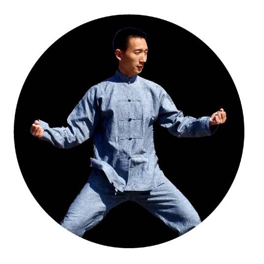 陈式太极拳老架一路(太极拳招式套路)