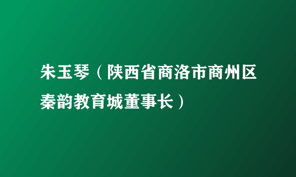 朱玉琴（陕西省商洛市商州区秦韵教育城董事长）
