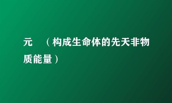 元炁（构成生命体的先天非物质能量）