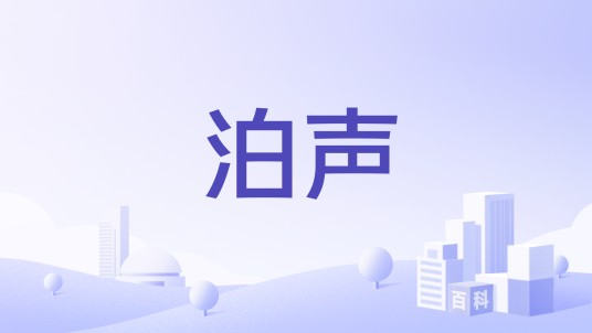 泊声