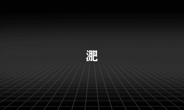 淝