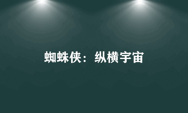 蜘蛛侠：纵横宇宙