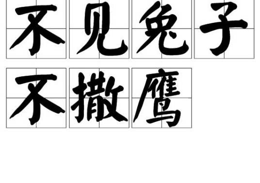 不见兔子不撒鹰