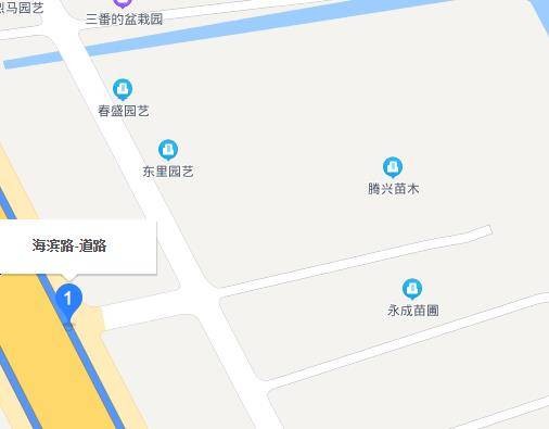 海滨路（上海市浦东新区城市次干路）