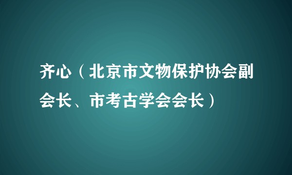 齐心(北京市文物保护协会副会长、市考古学会会长)