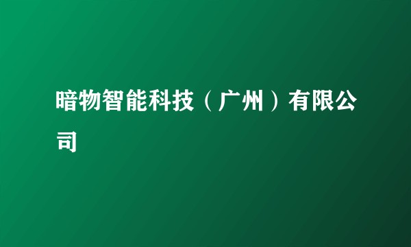 暗物智能科技（广州）有限公司