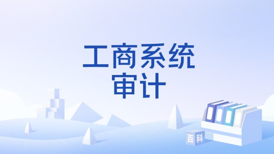 工商系统审计