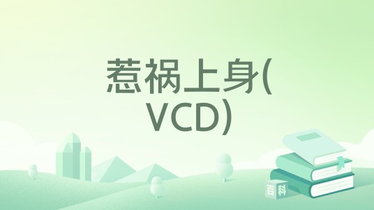惹祸上身(VCD)