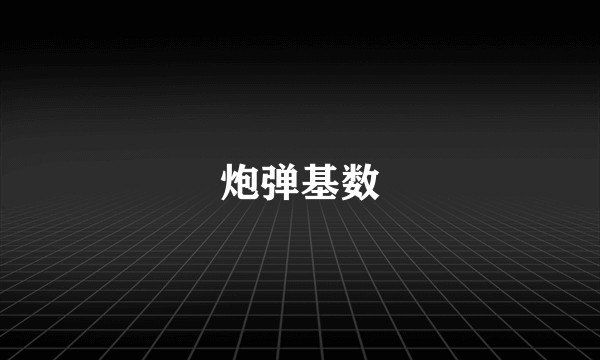 炮弹基数