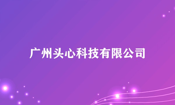 广州头心科技有限公司