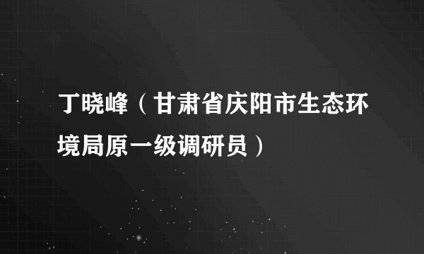 丁晓峰（甘肃省庆阳市生态环境局原一级调研员）