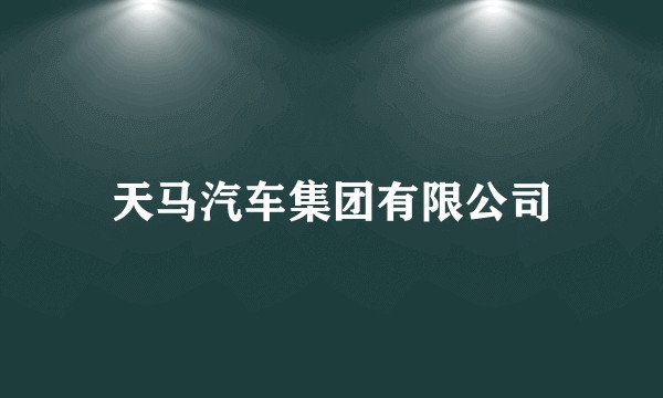 天马汽车集团有限公司