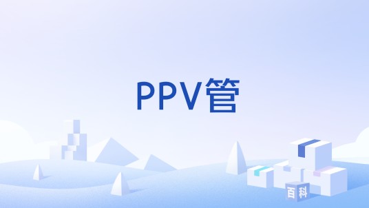 PPV管