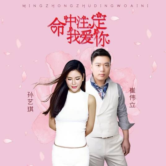 命中注定我爱你（崔伟立、孙艺琪演唱的歌曲）
