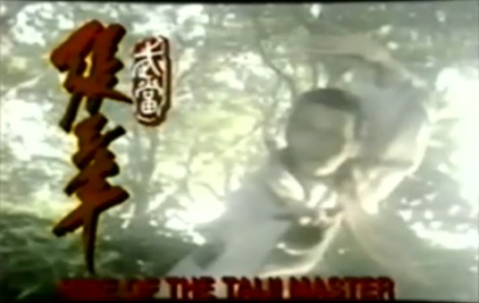 武当张三丰（1996年杨锦泉执导的动作剧）