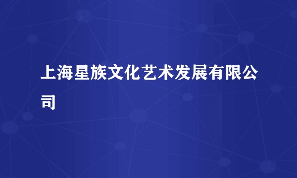上海星族文化艺术发展有限公司