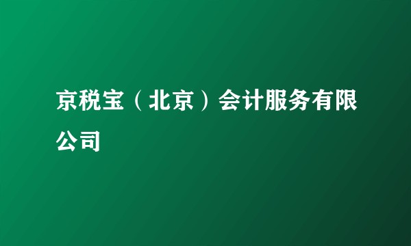 京税宝（北京）会计服务有限公司
