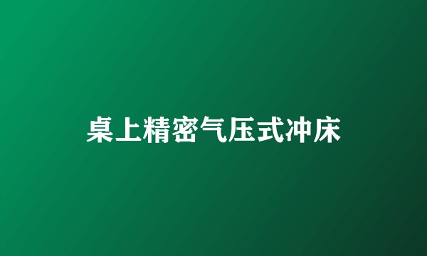 桌上精密气压式冲床