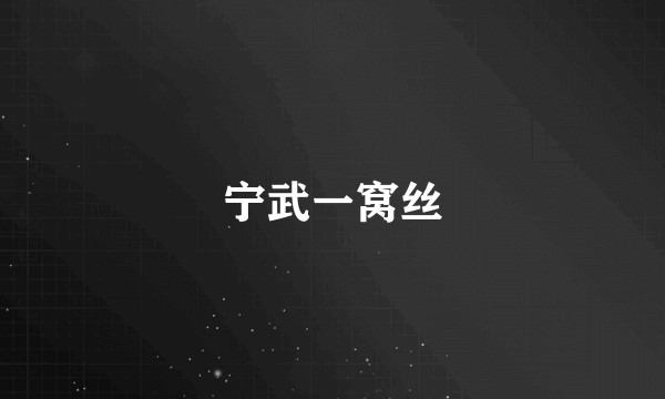 宁武一窝丝