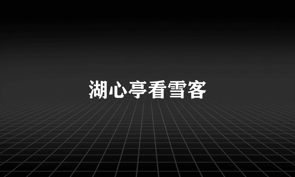 湖心亭看雪客