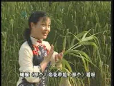 拔根芦柴花（1956年雪飞演唱的扬州民歌）