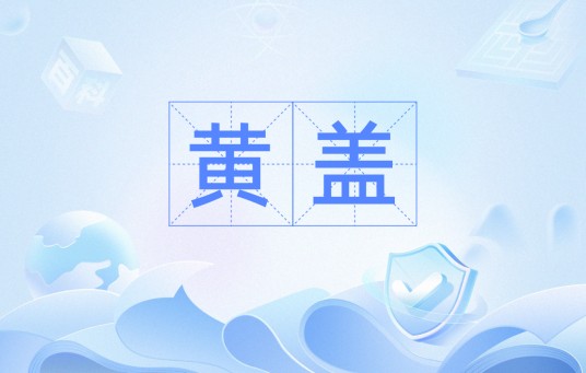 黄盖(汉语词语)