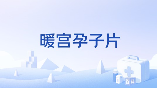 暖宫孕子片（中成药）