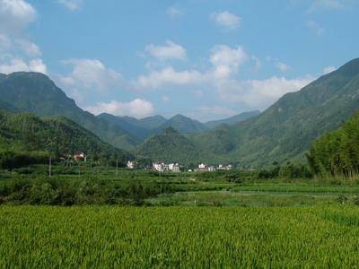 船村村