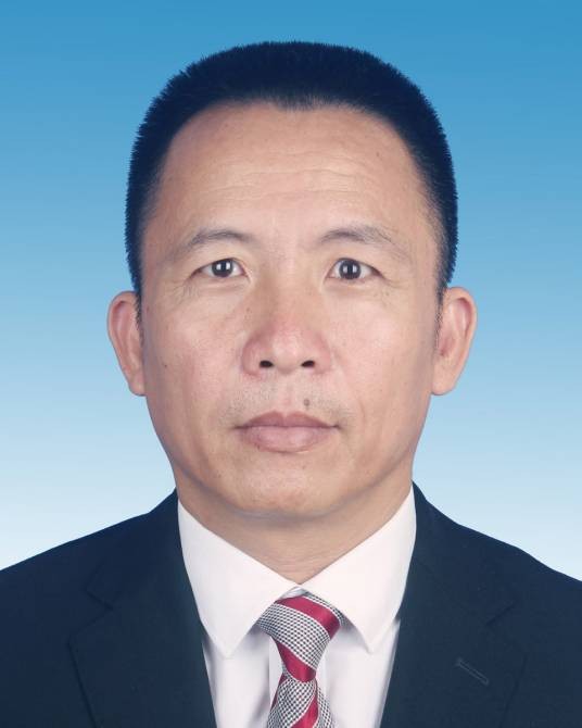 陈卫华(海南省乐东县人民政府原副县长)