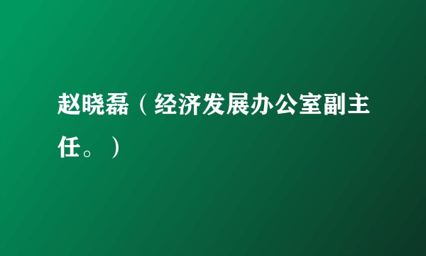 赵晓磊（经济发展办公室副主任。）