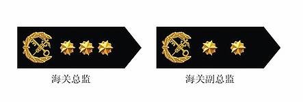 海关总监
