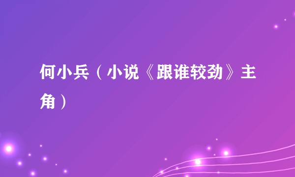 何小兵（小说《跟谁较劲》主角）
