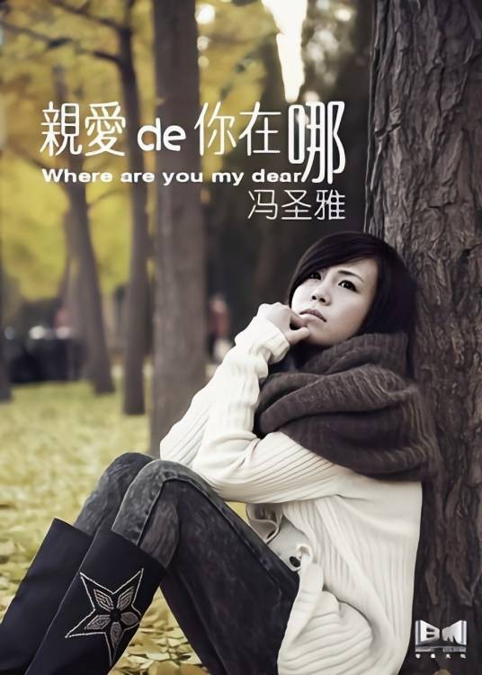 亲爱的你在哪（冯圣雅演唱的歌曲）