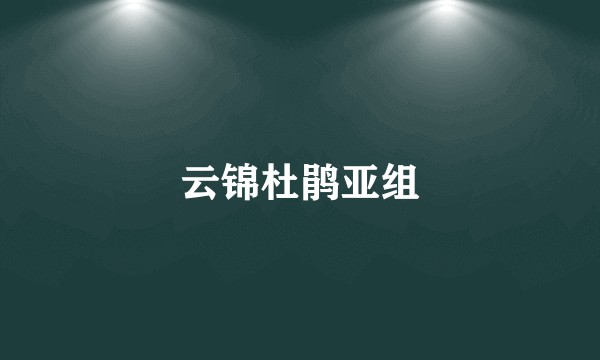 云锦杜鹃亚组