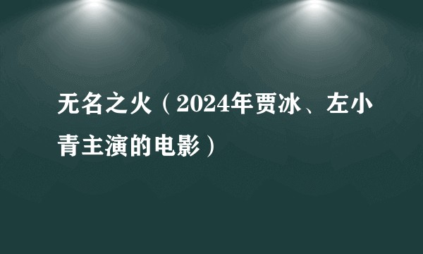 无名之火（2024年贾冰、左小青主演的电影）