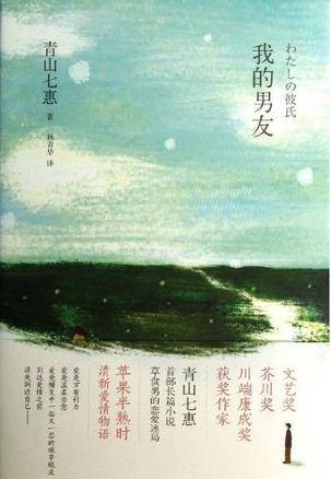 我的男友（2013年上海译文出版社出版的图书）