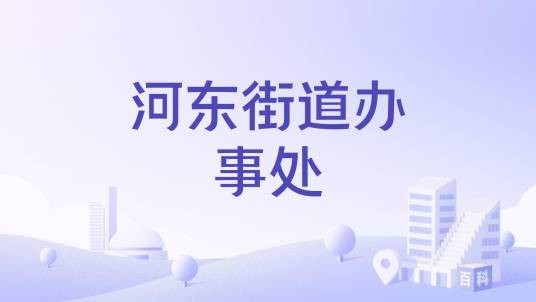 河东街道办事处（江西省吉安市青原区辖街道）