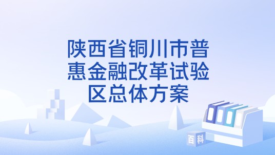 陕西省铜川市普惠金融改革试验区总体方案