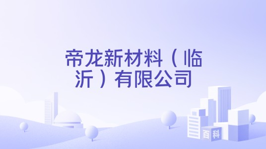 帝龙新材料（临沂）有限公司
