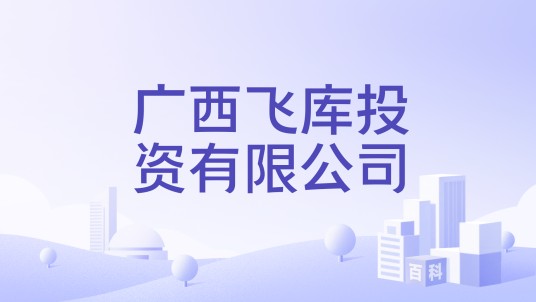 广西飞库投资有限公司