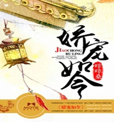 娇宠令（夜惠美创作的网络小说）